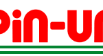 pin-up name logo